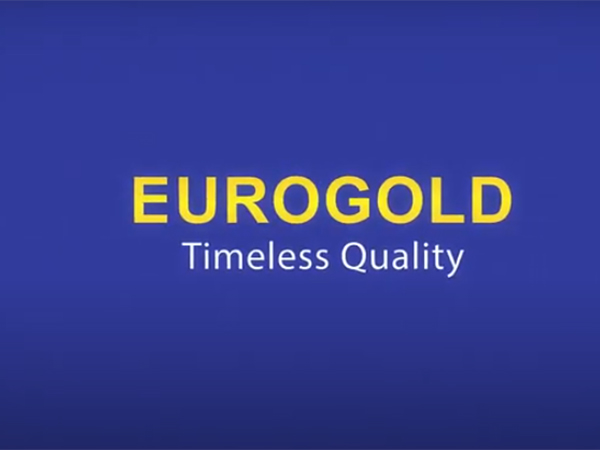 Giới thiệu chung về công ty EuroGold